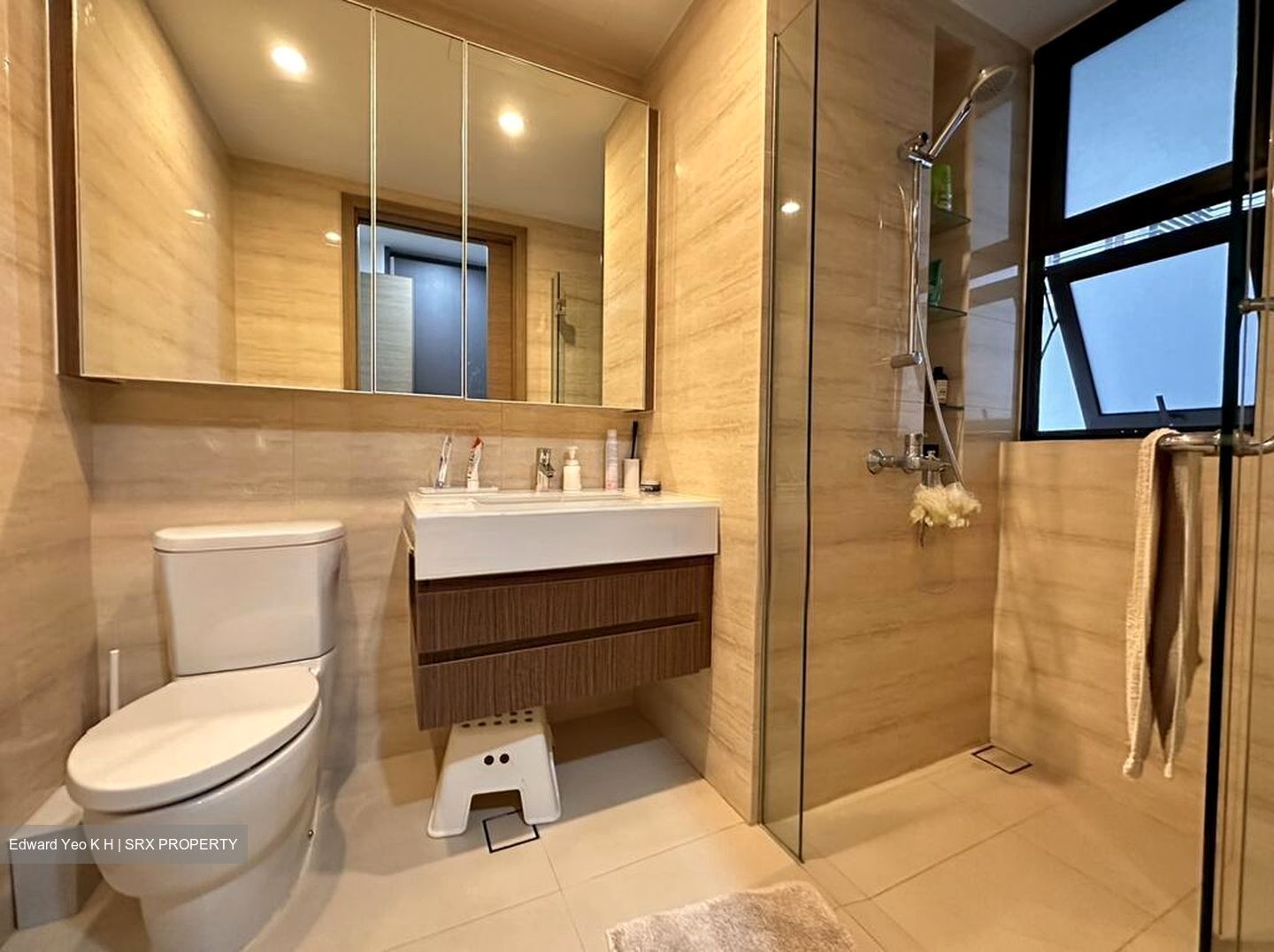 The Palette (D18), Condominium #496522081